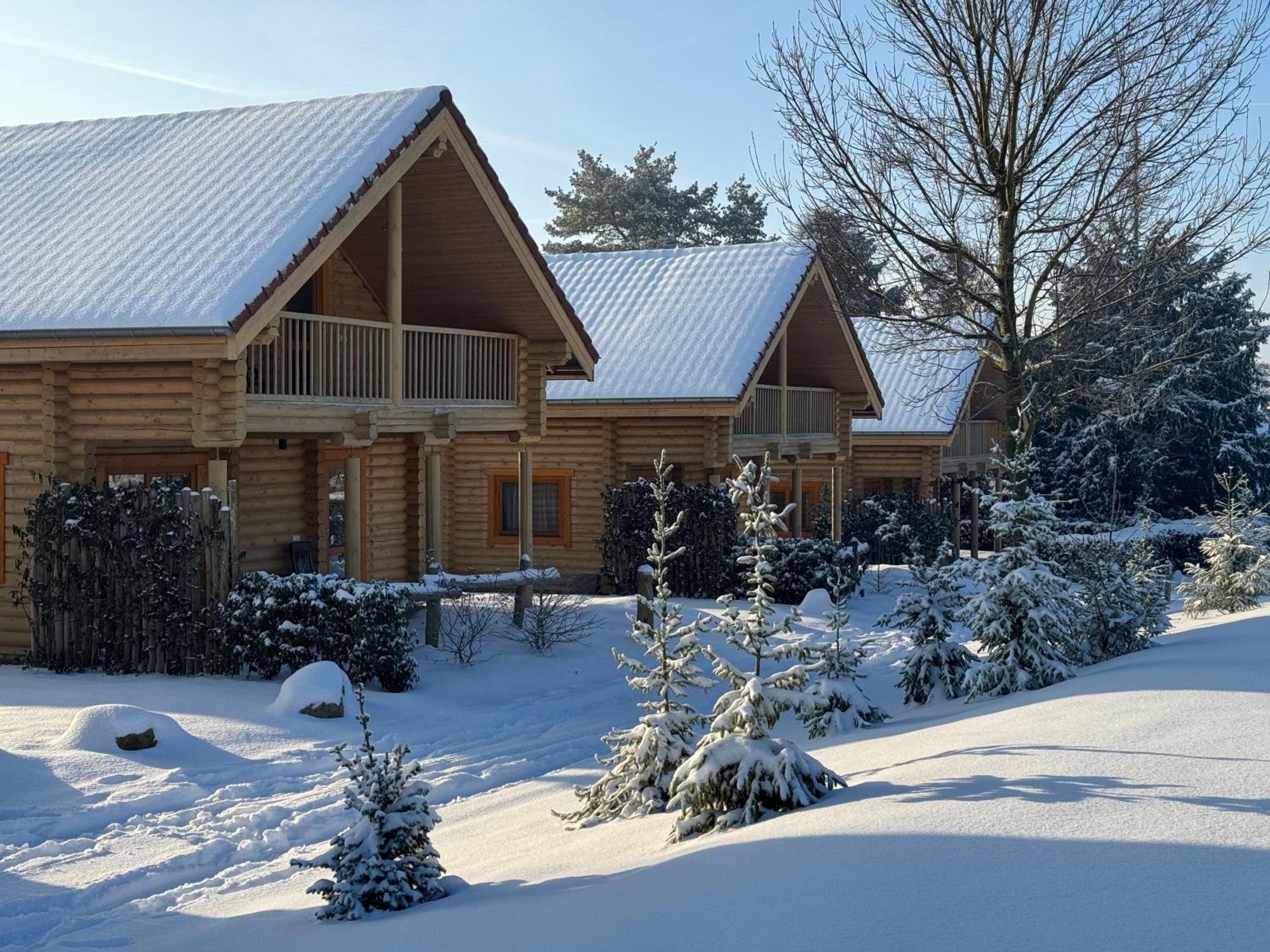 Boomstamhuis High Chaparral Oorsbeek Esterno foto
